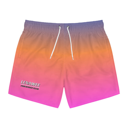 Lenawee Endurance Swim Trunks – Summer Gradient Edition